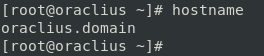 hostname